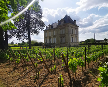 Charger l'image dans la galerie, CLOS ROSKAM 2022 - POMEROL